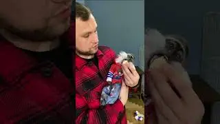 Рікі модна мавпа🙊