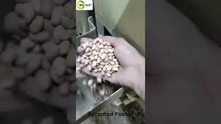 (#PEANUT)  QUALITY SETTING VIDEO ON MANITECH SORTER MACHINE !#machine #peanuts #sorting #farming