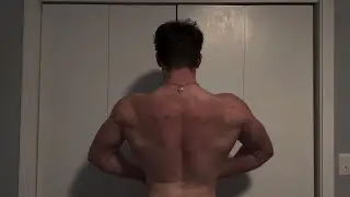 Bulking Day 33: Merciless Back & Biceps