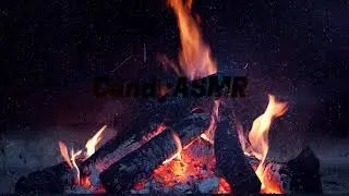 1 HORA ASMR AMBIENTAL CAMPING | Sonidos de la naturaleza| Ambiental noche | #CandyASMR 26