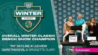 Interview with 2022 UKC Winter Classic Bench Show Winner