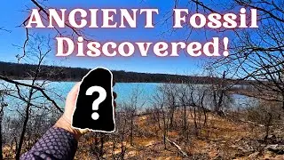 I Found a FOSSIL Older than the DINOSAURS while Exploring in Oklahoma!
