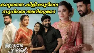 കാറ്റത്തെ കിളിക്കൂട് പരമ്പരയിലെ സുധീഷ്  കുടുംബം | kattathekilikoodu serial actor ameen madathil 