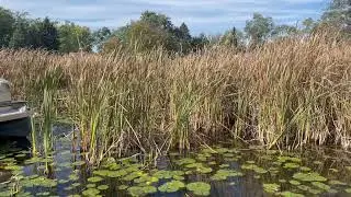 Byram Lake Fenton MI