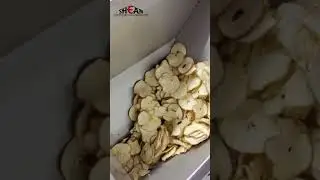 Nitrogen-filled potato chip packaging machine #fillingmachine #packagingmachine#potatochips