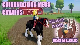 CUIDANDO DOS CAVALOS QUE GANHEI - ROBLOX wild horse islands