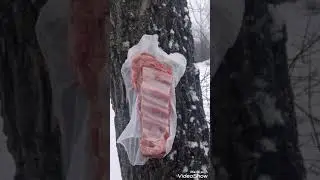 Форт12Р VS Ребра