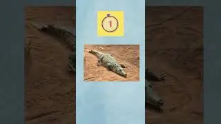 🐾 Guess the Animal Challenge | Can You Score 10/10? 🏆 #braingames #educationshorts #generalknowledge