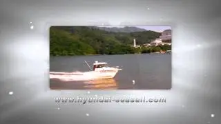 HYUNDAI SEASALL COMPANY VIDEO