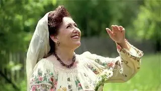Maria Salaru -  Lautar cu scripca veche