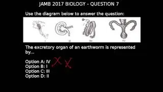 Q7 - JAMB Biology 2017 Past Questions and Answers