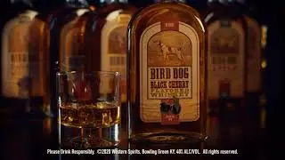 Bird Dog Black Cherry Flavored Whiskey - Find Your Flavor!