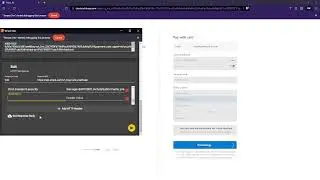Stripe New Bugs For Payment