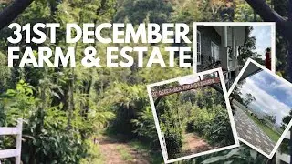 31st December farm and estate | Estate in Munnar | cravings of a wife