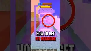 What Does a PET INCUBATOR do In Grow a Garden (ROBLOX)