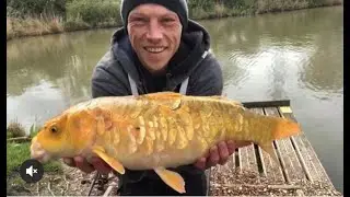 Beginner guide to carp fishing.