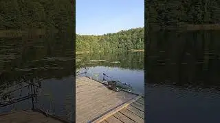 Magic place 💚 #carpfishing #carp #carpgravity