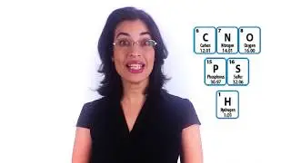 What are Nonmetals and Metalloids? - Chemistry Class
