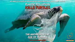 The Anthropocene || Age of the Humans & Global warming, Ocean Acidification, and Habitat Destruction