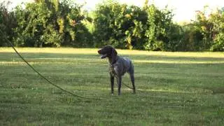 Part Three: Greta Whoaing on a Check Cord