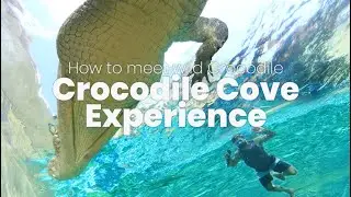 CAGE OF DEATH: Crocodile Attack the cage. Surviving or not?