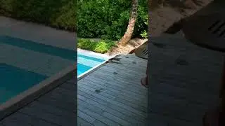 Residence Maldives Digurah Sunrise de Luxe Beach Pool Villa