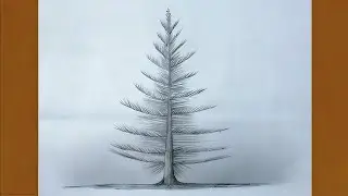 Pine tree drawing for beginners/Basic drawing/Tree drawing/How to draw pine tree #pine #drawing #art