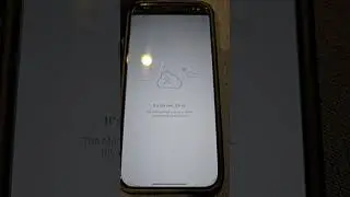 Cannot open Moneygram on Iphone 14 #Moneygram #issue