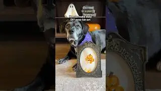 Easy DIY Halloween Art For Dog Parents | The Pack