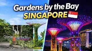 👉 Singapore Trip Vlog 🇸🇬 | Gardens by the Bay Must Visit Place