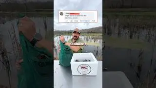 🦞CRAWFISH COMMENT SECTION #louisiana #cajun #business