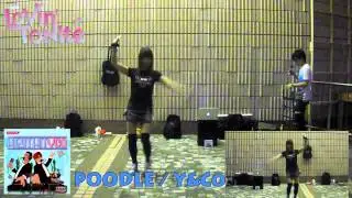 [PARAPARA] POODLE / Y&Co