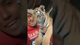 sher ka baccha kaisa hota hai 🫵 #phonk #phonkmusic