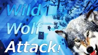 Wild Wolf Attack! | The Wild Eight Multiplayer - Part 1