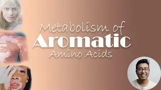 Metabolism of Aromatic Amino Acids Part 1