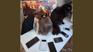 In The Queue Again