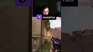 вопрос конечно... | maestrius #Twitch #chat #rage #вопросики #valorant #валорант #чат #рейдж
