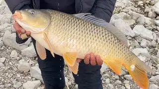 Kış Ayında olta ile 6 kg  sazan balığı