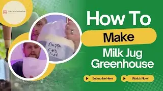 How to build: Milk Jug Greenhouse | 5 easy steps
