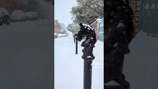 Amazing Nature: Winter Scenery / Wonderland 2025 - New Orleans / SNOwLA!  Cathedral, French Quarter