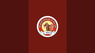 | શ્રી પુરુષોત્તમ લાલજી ગૌશાળા ધૂન મંડળ છોડવડી 🙏| @dhunmandal_chhodavdi #dhun #bhajan #kartal #live
