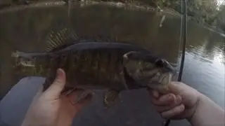 Swimbaits All Day