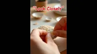 Sea Animal Transform, Sea Animal for Kids | Oyster