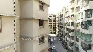 Badlapur town in Maharashtra during Janta curfew | 22 March 2020: people look out from caged homes
