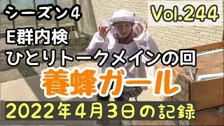 Vol.244〔養蜂記録〕シーズン４　ほとんど内検後のひとりトーク　西洋みつばちE群見ました問題なし　順調な４月初め　来週は２０℃だって