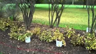 Landscaping on Golf Courses