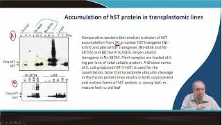 Lecture 63: Molecular Pharming: production of human somatotropin in tobacco #swayamprabha #CH31SP