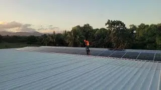 video web 4