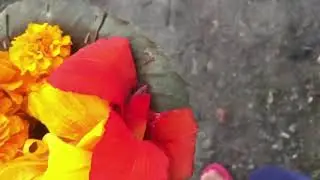 Dashain puja | cinematic video❤️ |HD
