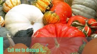 Elite Homes Realty Inc.- Autumn Market!